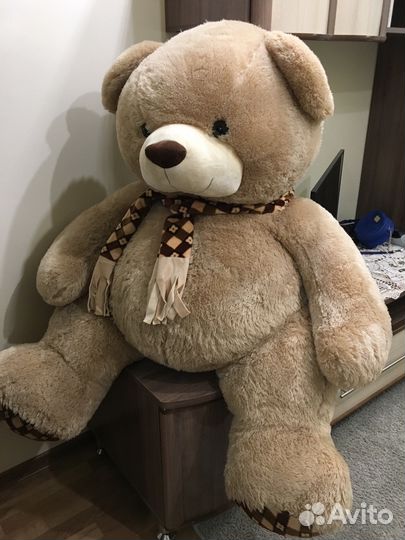 Плюшевый медведь