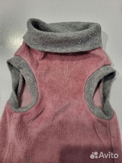 Одежда для кошек