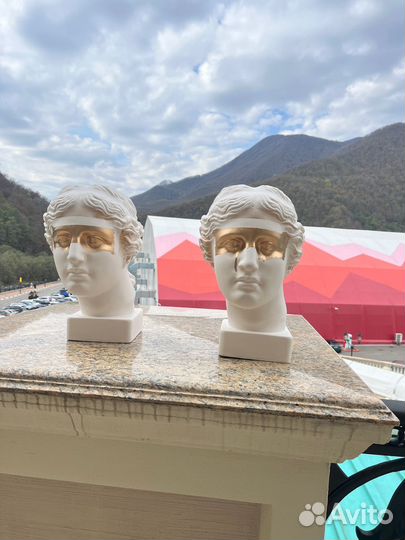 Гипсовая голова