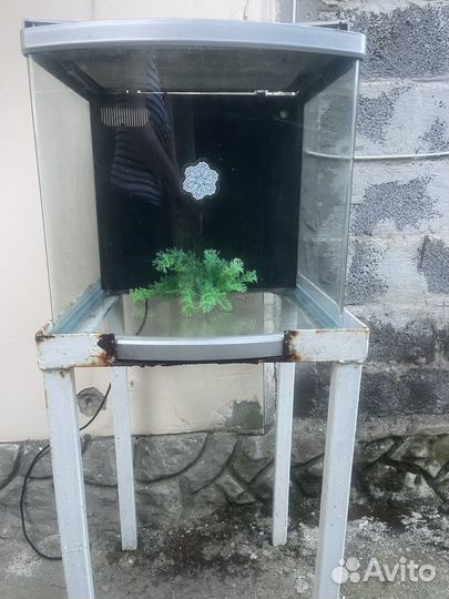 Аквариум