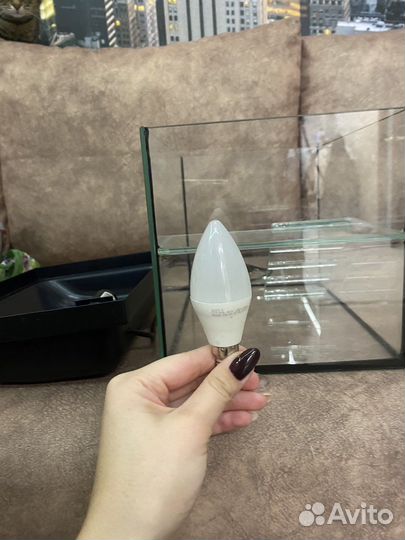 Террариум для красноухой черепахи