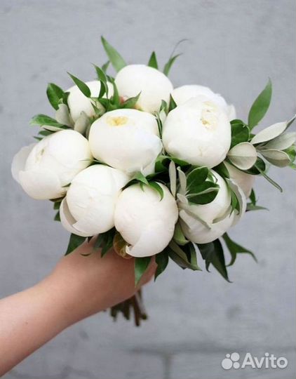 Пионы Букет