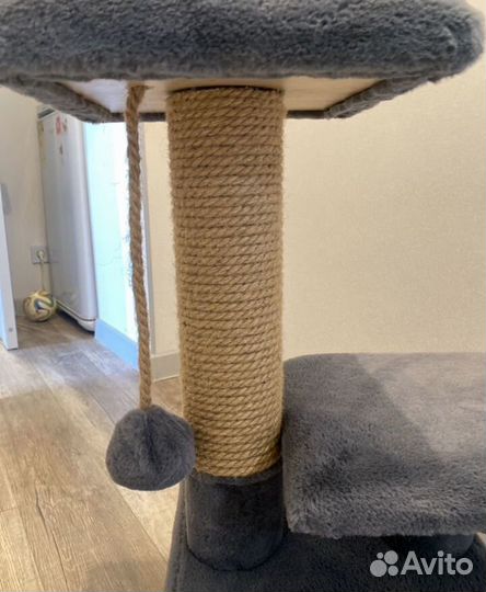 Когтеточка