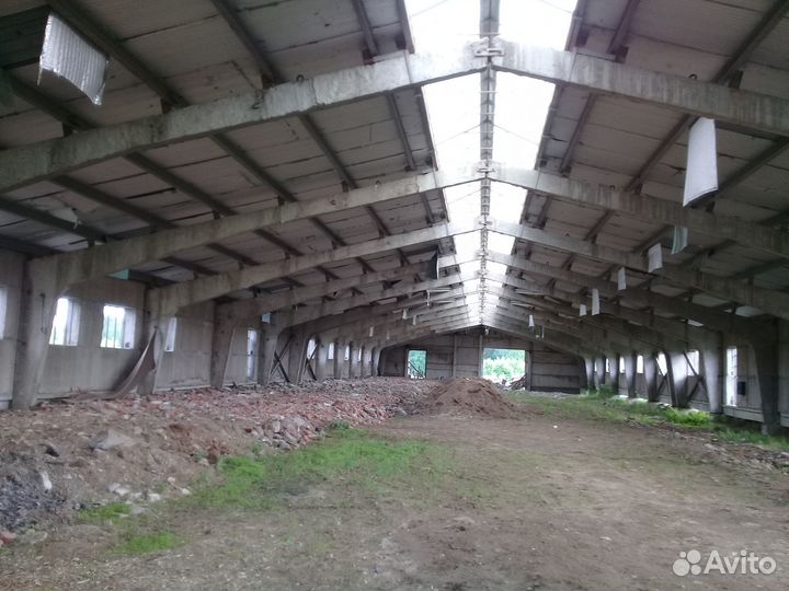 Размещение лошадей