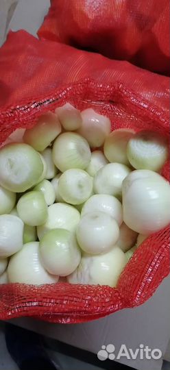 Лук очищенный сетка свежий и замороженный