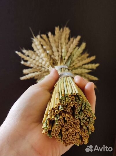 Букет из пшеницы, сухоцветы