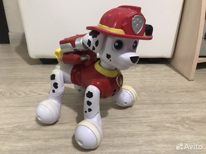 Щенячий patrol Маршал