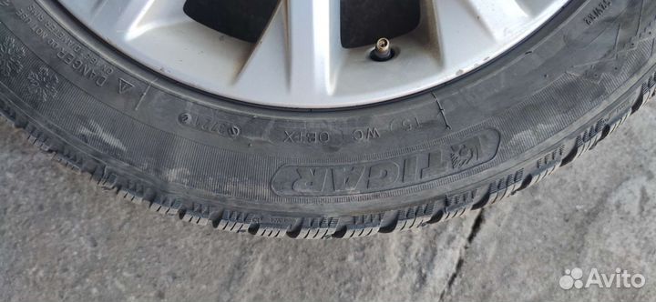 Tigar Winter 205/55 R16 94