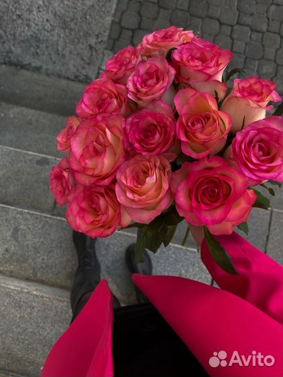 Розы 15 штук, доставка по Новосибирску
