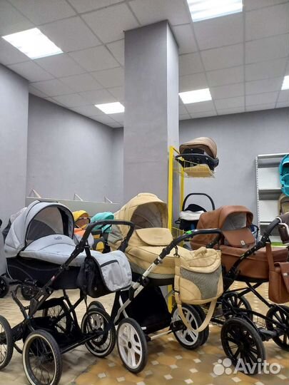Коляска адамекс 2в1