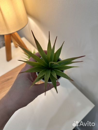 Искусственное растение Икеа IKEA Фейка