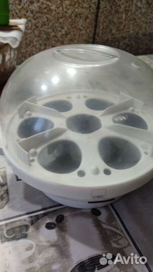 Электрическая яйцо варка