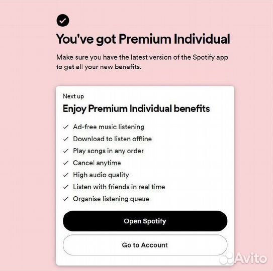 Spotify premium работает в РФ - 3/6/12 мес