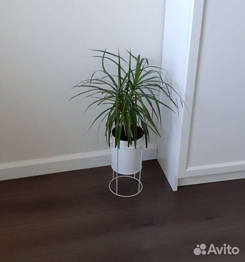 Кашпо металлическое на ножках, в стиле hm home