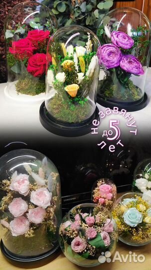 Композиции из цветов, растений, ночники, нн41, от