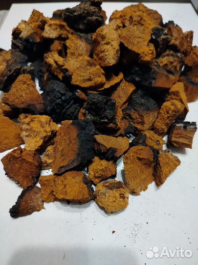 Чага березовая кусковая