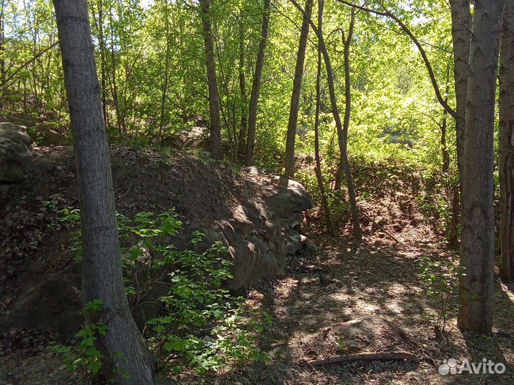 Обучение (паркур)