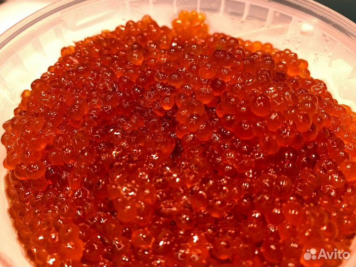 Красная икра. Только опт. Свежий улов