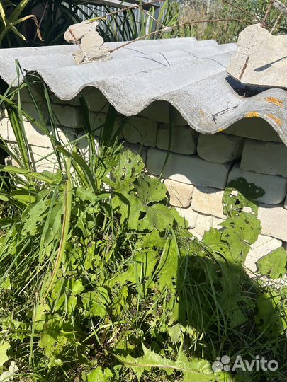 Кирпич облицовочный белый