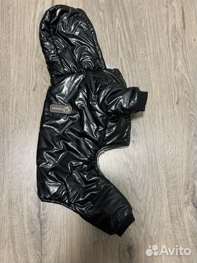 Комбинезон для собаки