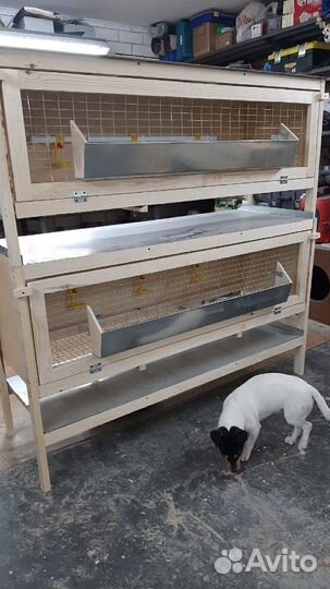 Клетка для кур