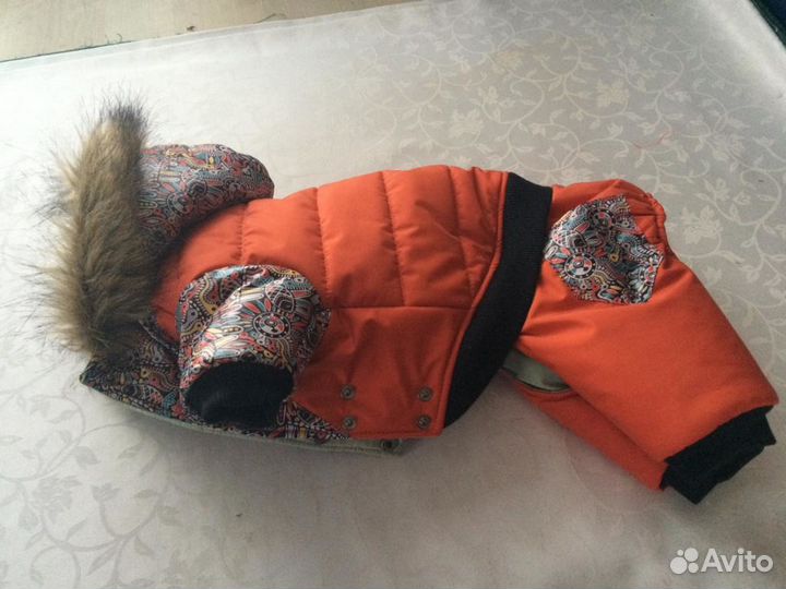 Одежда для животных