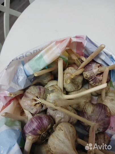 Чеснок