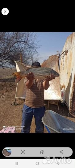 Кемпинг в Астрахани