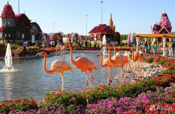 Загранпоездка в Дубай от 7 ночей