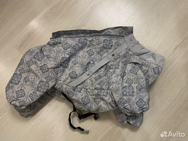 Одежда для собак