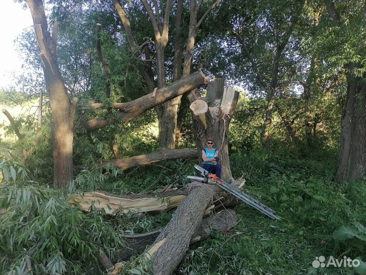 Спилить дерево, удалить дерево
