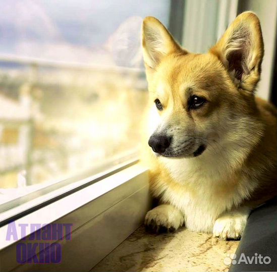 Пластиковое окно