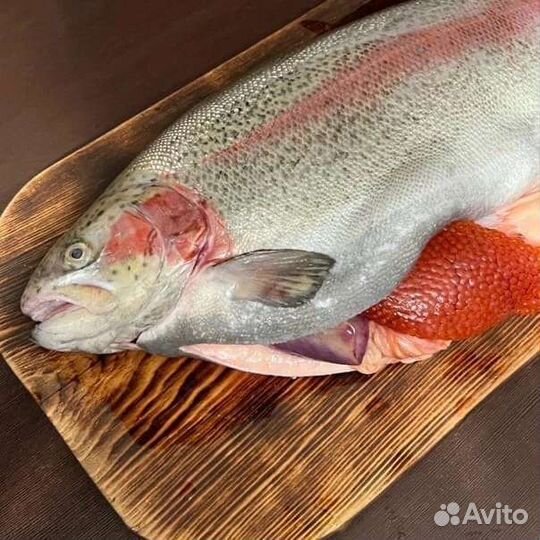 Свежая форель