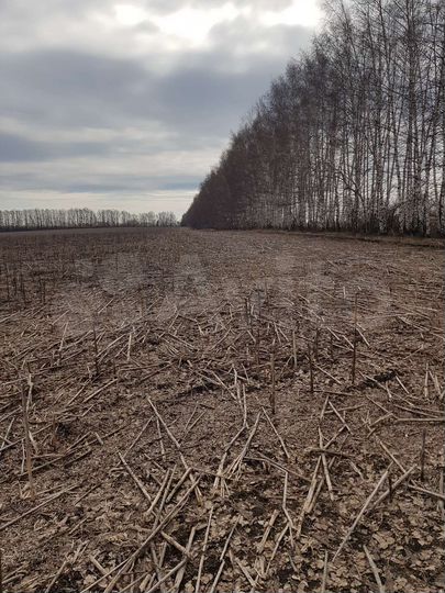 Участок 8 га (СНТ, ДНП)