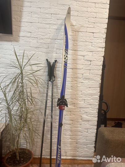 Беговые лыжи