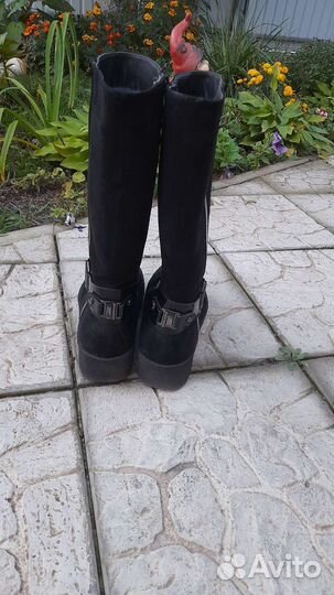 Сапоги женские