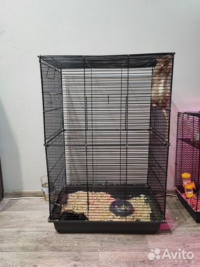 Клетка для грызунов высокая