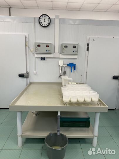 Камера созревание для сыров и колбас