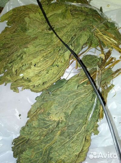 Лекарственные травы