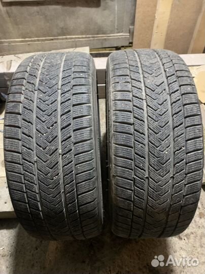Gripmax Status Pro Winter 225/40 R19