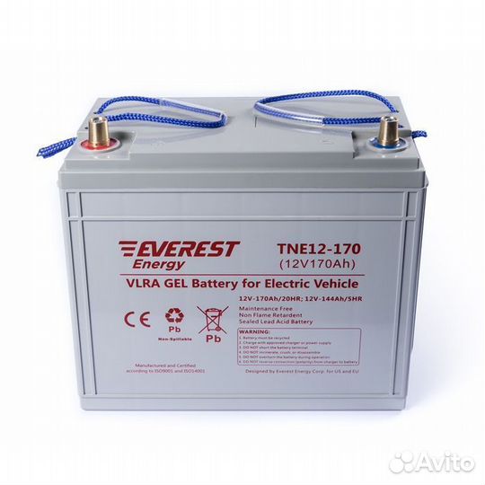 Тяговый аккумулятор everest TNE 12-170