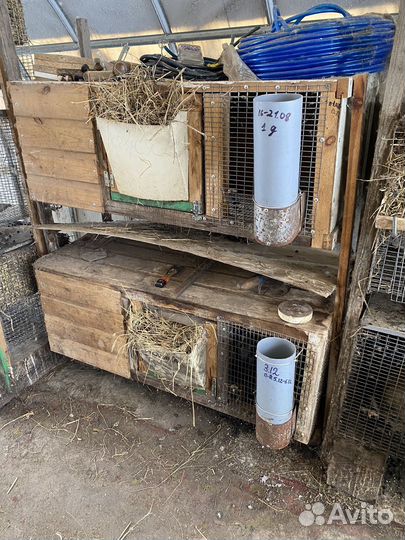 Клетки для кроликов, птицы