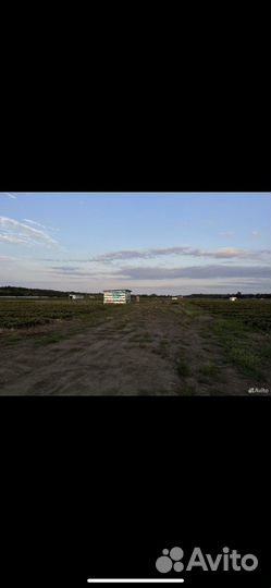 Клубника готовый бизнес