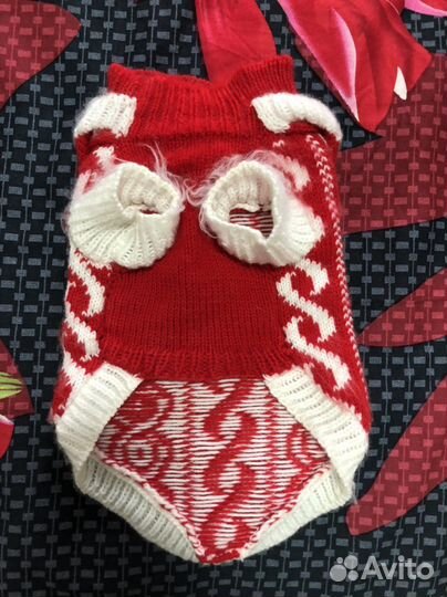 Кофта доя кошки или маленькой собачки