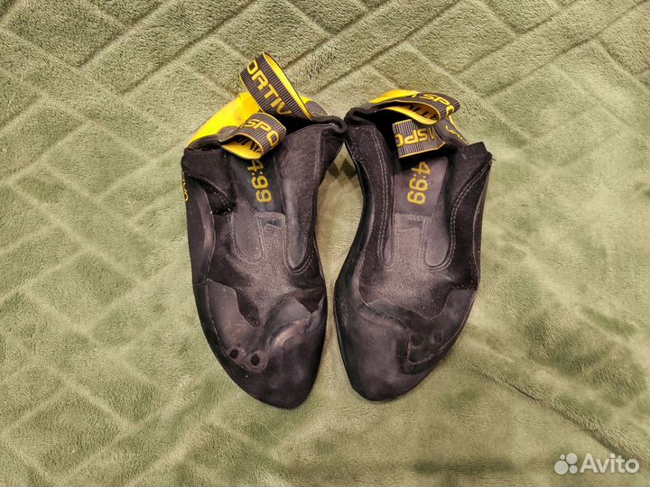 Скальные туфли