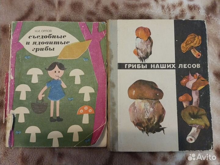 Грибы наших лесов, сьедобные и ядовитые грибы