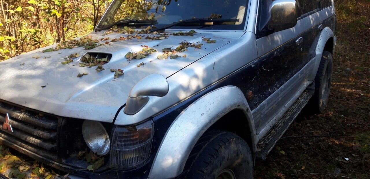Mitsubishi Pajero: фото владельца