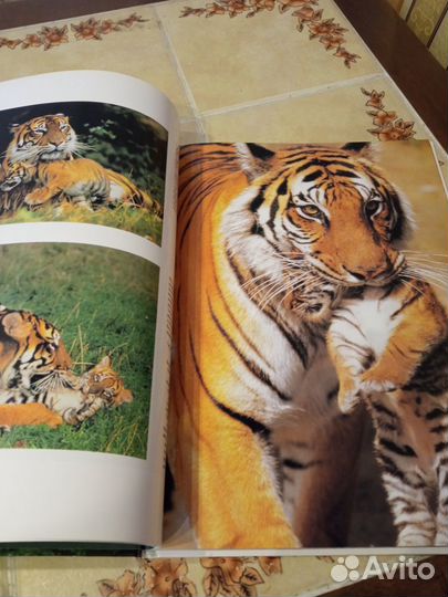 Советские и современные детские книги