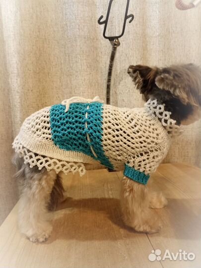 Летняя вязанная кофточка для собаки