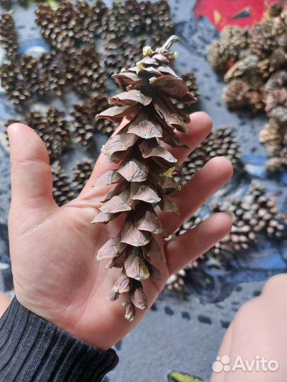 Материалы для творчества - вощина для свечей 1 кг